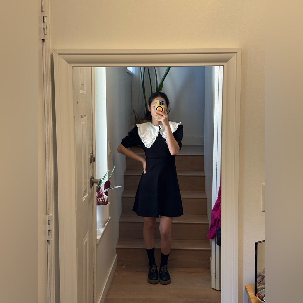 Zara Peter Pan Collar Mini Dress
